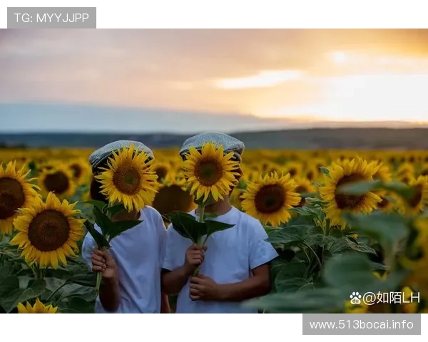 阳光娱乐的魅力：让每一天都充满欢笑与活力